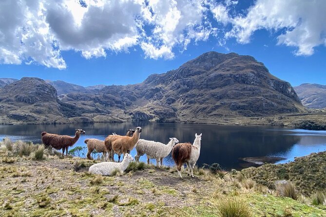 National Park El Cajas — nature near Cuenca